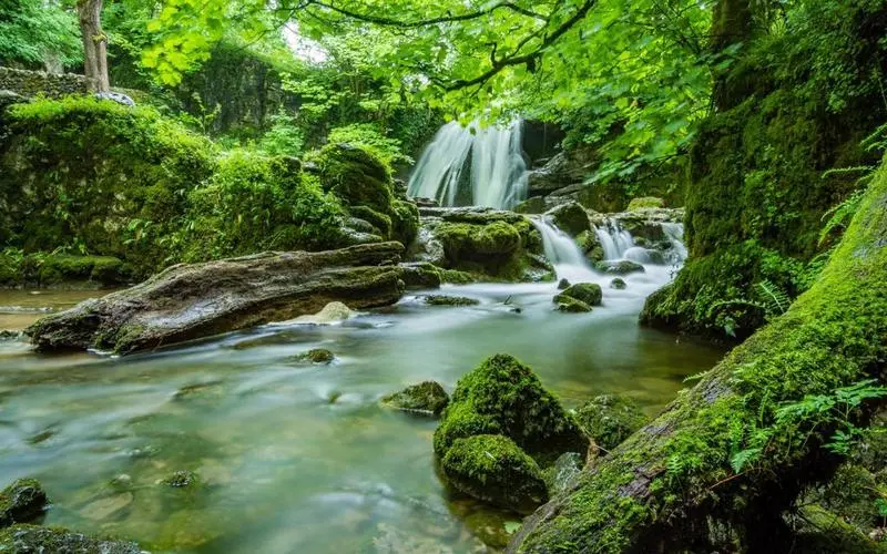 稳定性独特可靠性